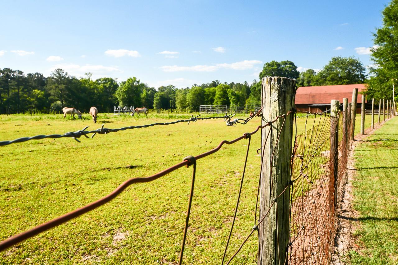 Bed and Breakfast Dublin Farm Екстер'єр фото