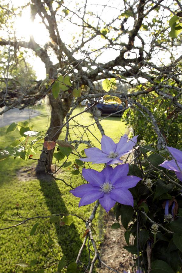 Bed and Breakfast Dublin Farm Екстер'єр фото