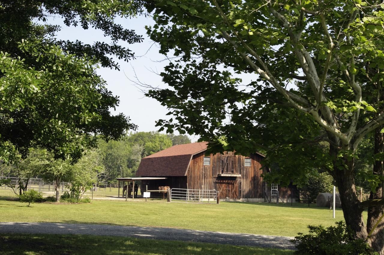 Bed and Breakfast Dublin Farm Екстер'єр фото