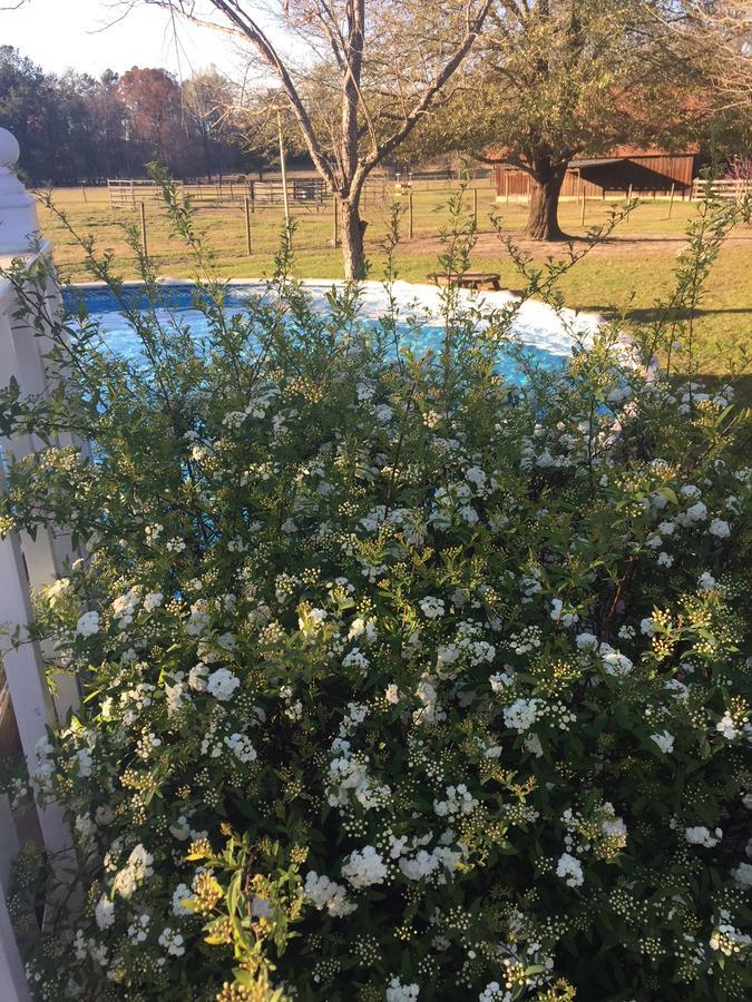 Bed and Breakfast Dublin Farm Екстер'єр фото